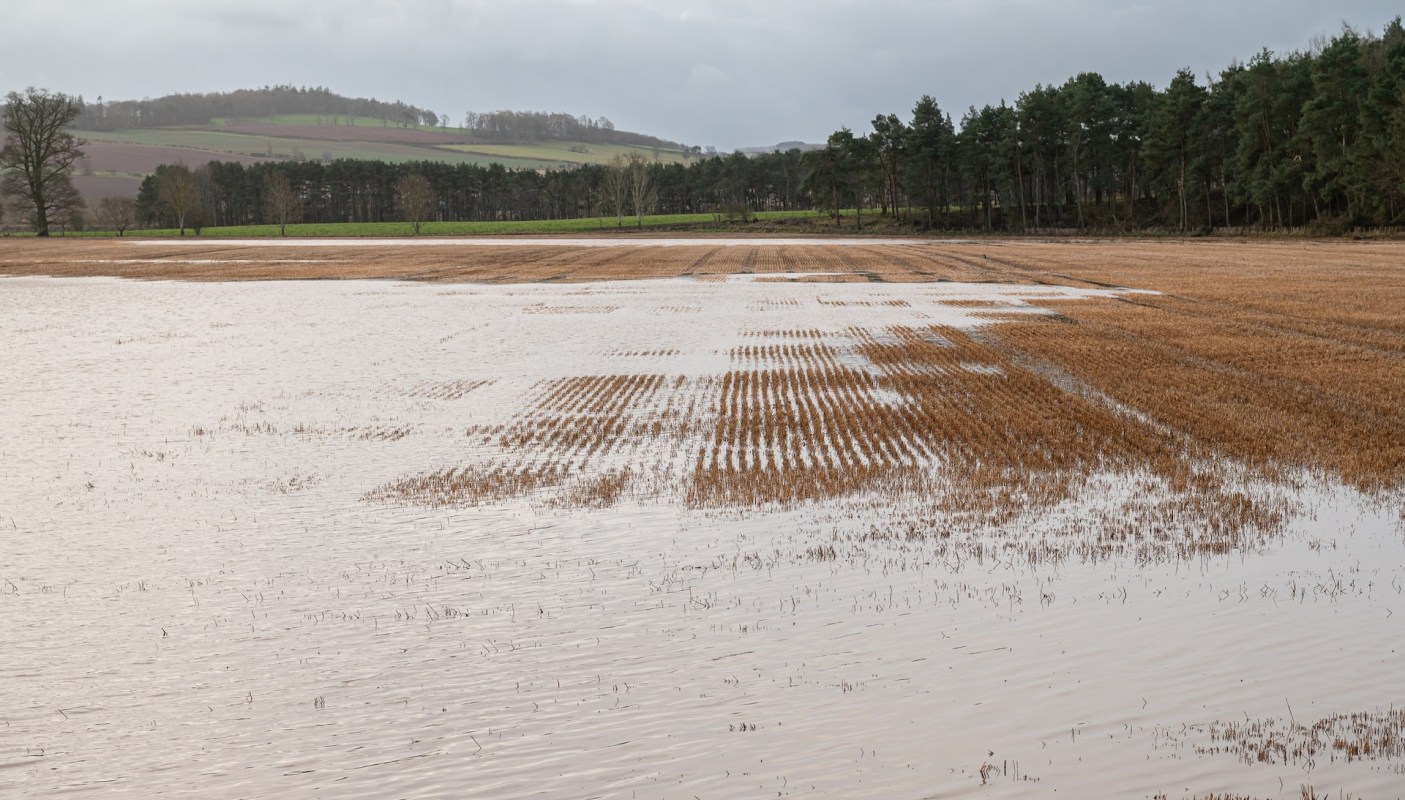 Flooding across Pakistan's Multan region has devastated mango orchards, threatening the livelihoods of thousands of farmers.