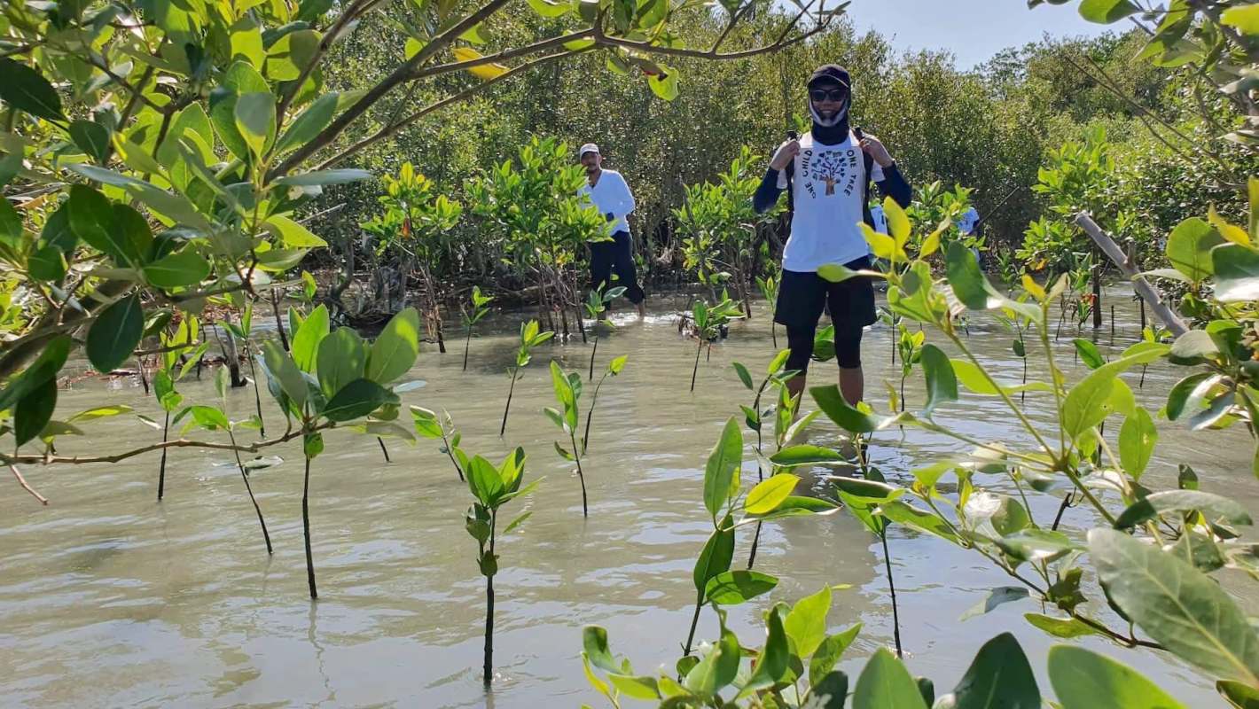 Mangrove forest restoration can be a powerful tool to fight climate change. One project in the Philippines is enlisting children's help.