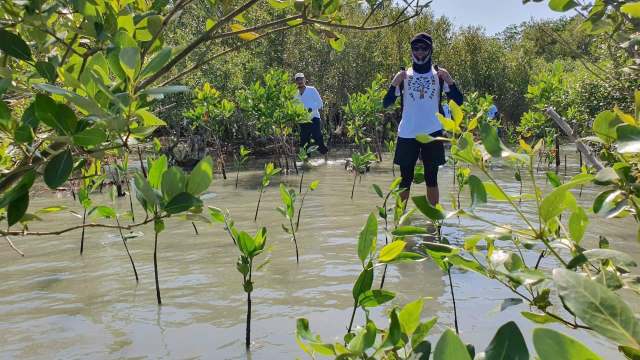 Mangrove forest restoration can be a powerful tool to fight climate change. One project in the Philippines is enlisting children's help.