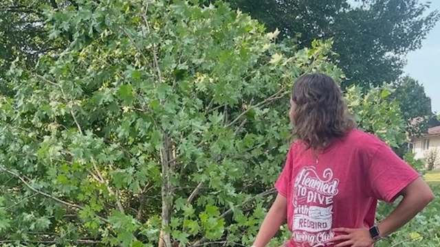 A Redditor asked about an unusual-looking root structure that was exposed after their 10-year-old maple tree was toppled in a storm.