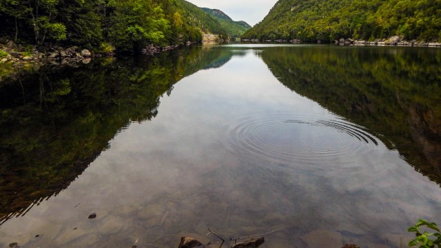 Microplastics are everywhere, polluting the air, the dirt, our bodies, and our water sources.