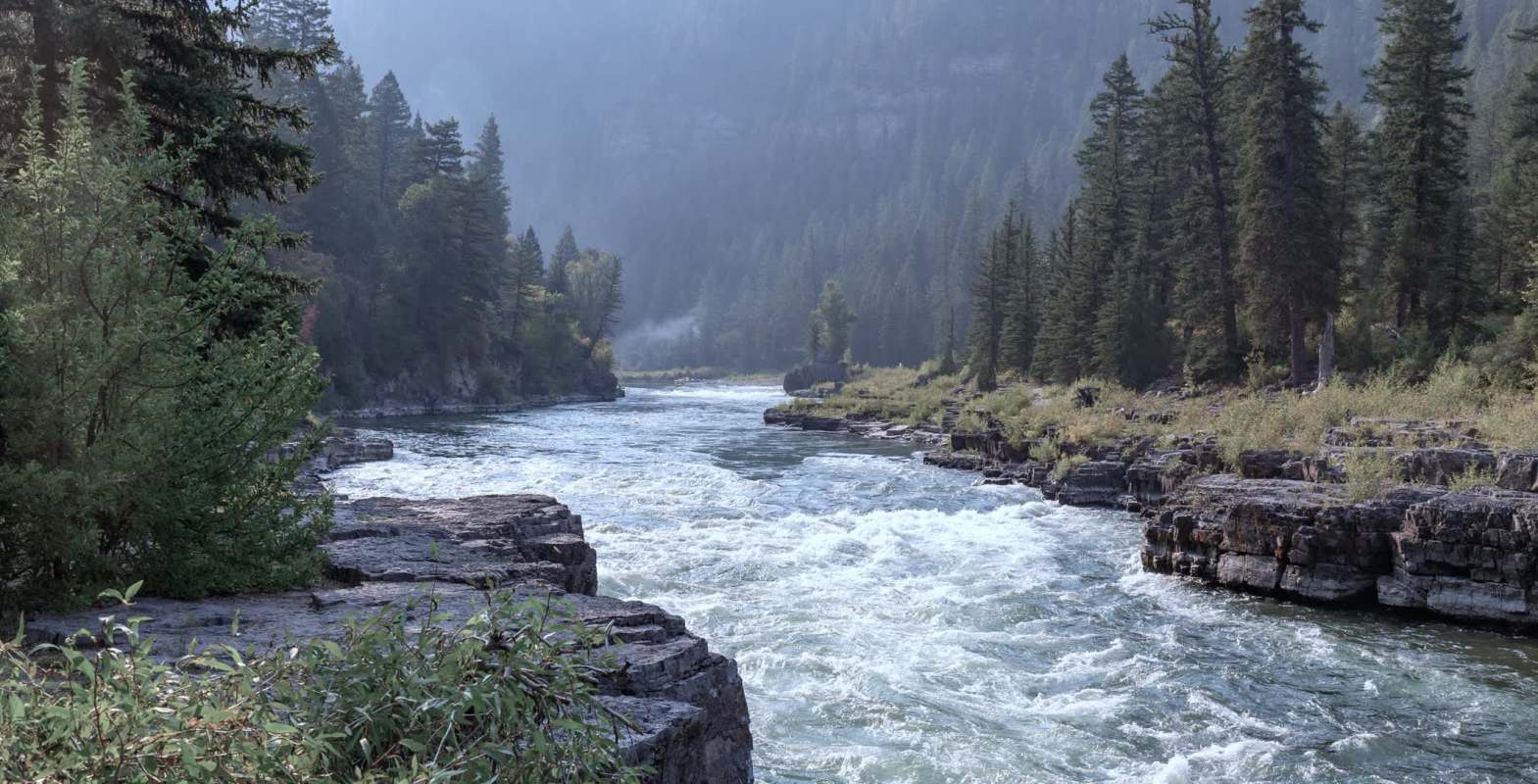 Undergraduate researchers discovered microplastics in fish from Idaho's Upper Snake River watershed, raising concerns about our food supply.