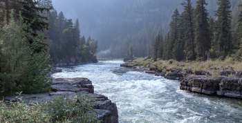 Undergraduate researchers discovered microplastics in fish from Idaho's Upper Snake River watershed, raising concerns about our food supply.