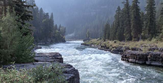 Undergraduate researchers discovered microplastics in fish from Idaho's Upper Snake River watershed, raising concerns about our food supply.