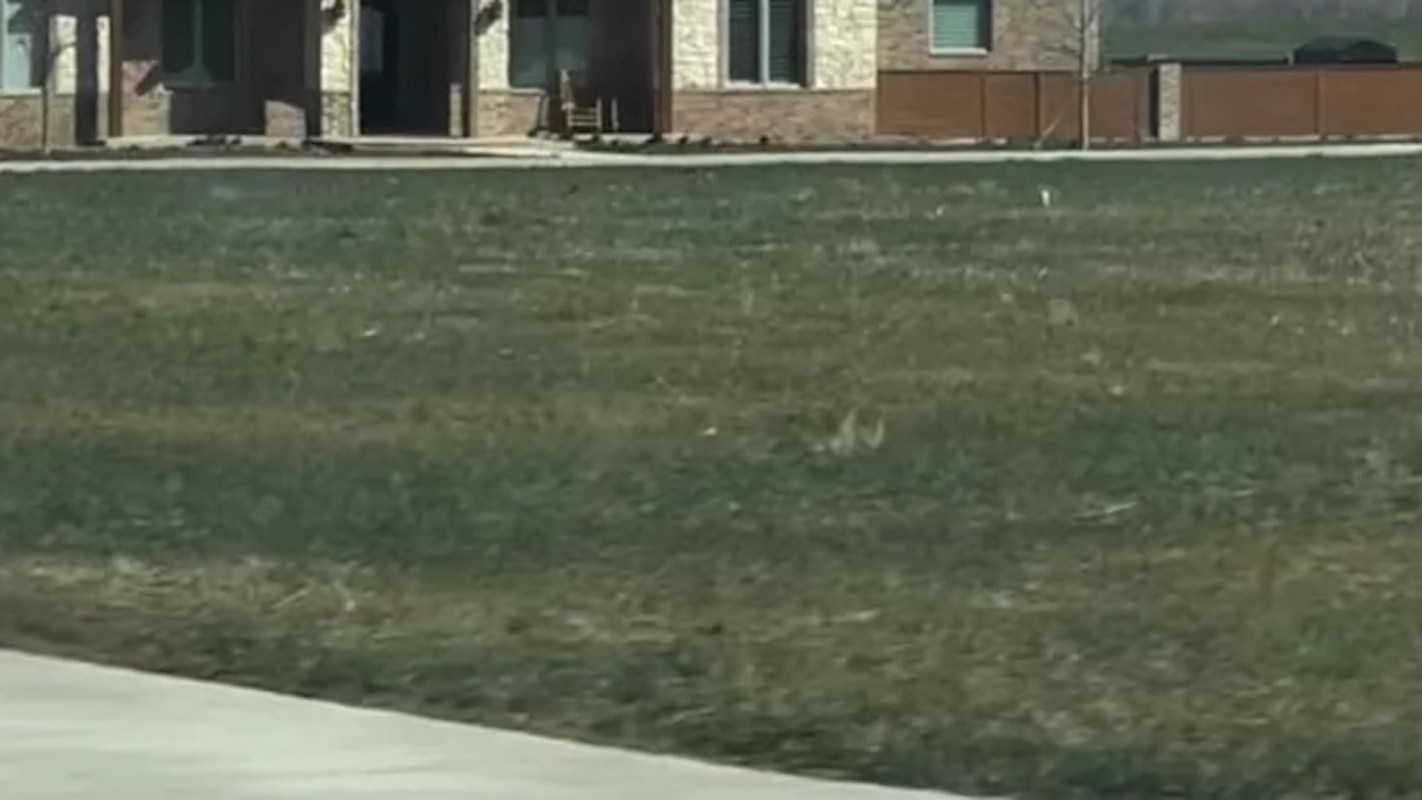 One Reddit user shared a photo of a massive McMansion in the middle of nowhere and got called out by commenters.