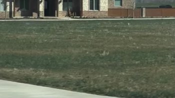 One Reddit user shared a photo of a massive McMansion in the middle of nowhere and got called out by commenters.