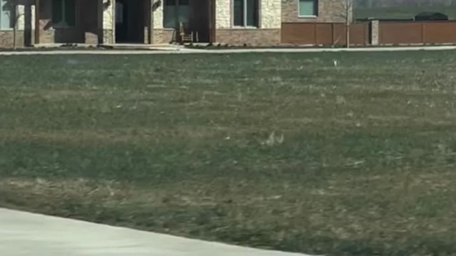 One Reddit user shared a photo of a massive McMansion in the middle of nowhere and got called out by commenters.