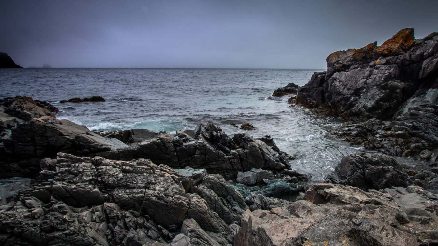 Researchers have predicted a concerning future for a crucial marine species.