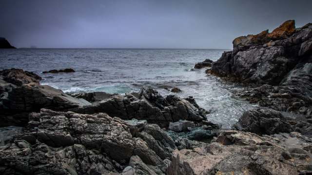 Researchers have predicted a concerning future for a crucial marine species.