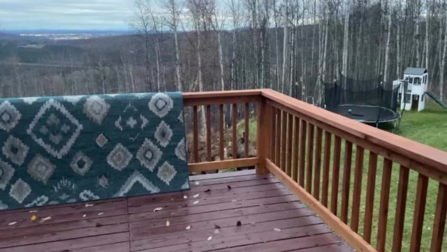 One family in Alaska was shocked to find a group of moose in their backyard, chowing down on a vegetable garden.