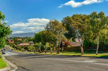 An infuriating Reddit post shows how one household destroyed a 700-year-old tree that was home to mopoke owls.
