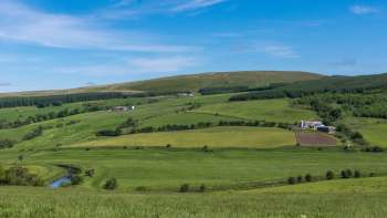 After more than three decades of silence, two elusive moth species have resurfaced in a Scottish high-nature reserve.