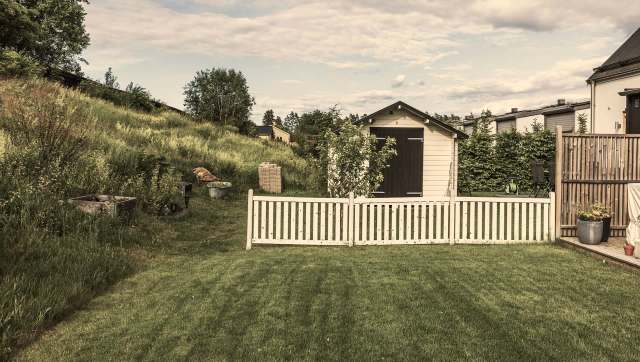 In Erie, Colorado, police are telling folks a mountain lion hopped a fence and grabbed somebody's little dog.