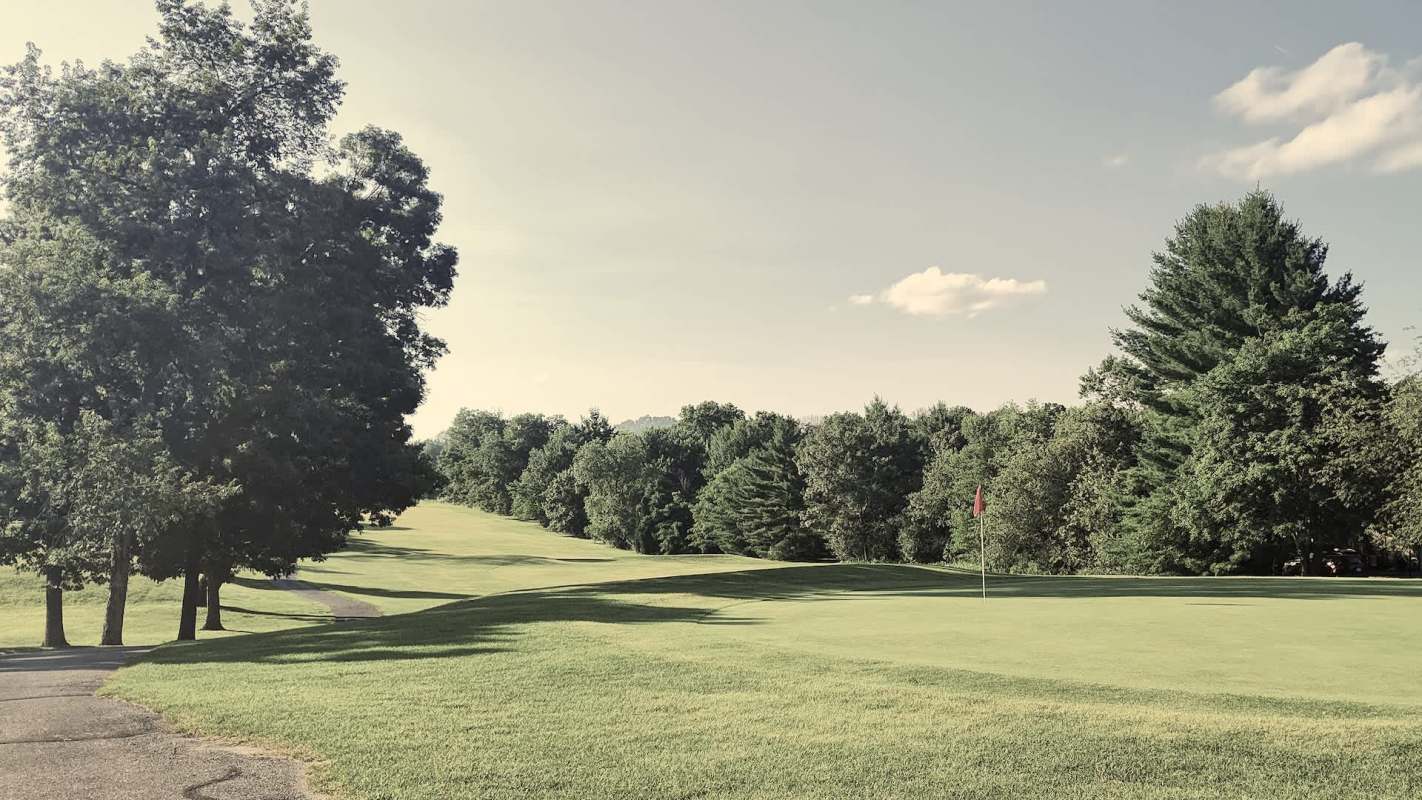 A golfer spotted a mountain lion chilling in a tree on a Montana course.