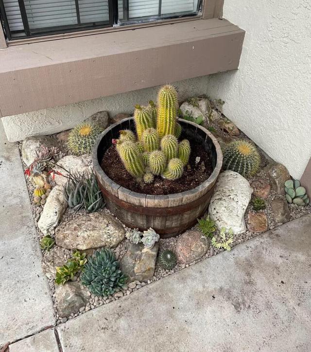 A Reddit user shared photos of their beautiful xeriscaped yard, demonstrating how to create a sustainable landscape.