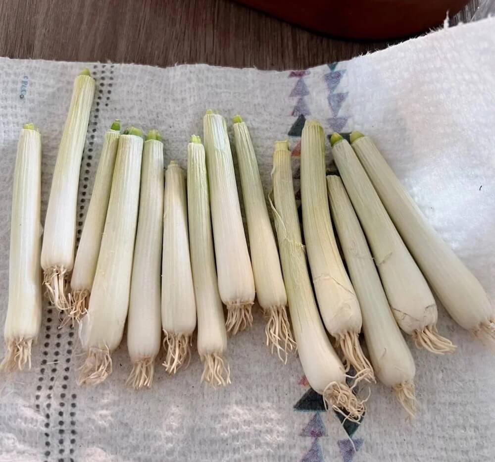 Thanks to one clever gardener on Reddit, this ridiculously easy home-growing tip lets you enjoy a self-replenishing supply of green onions.