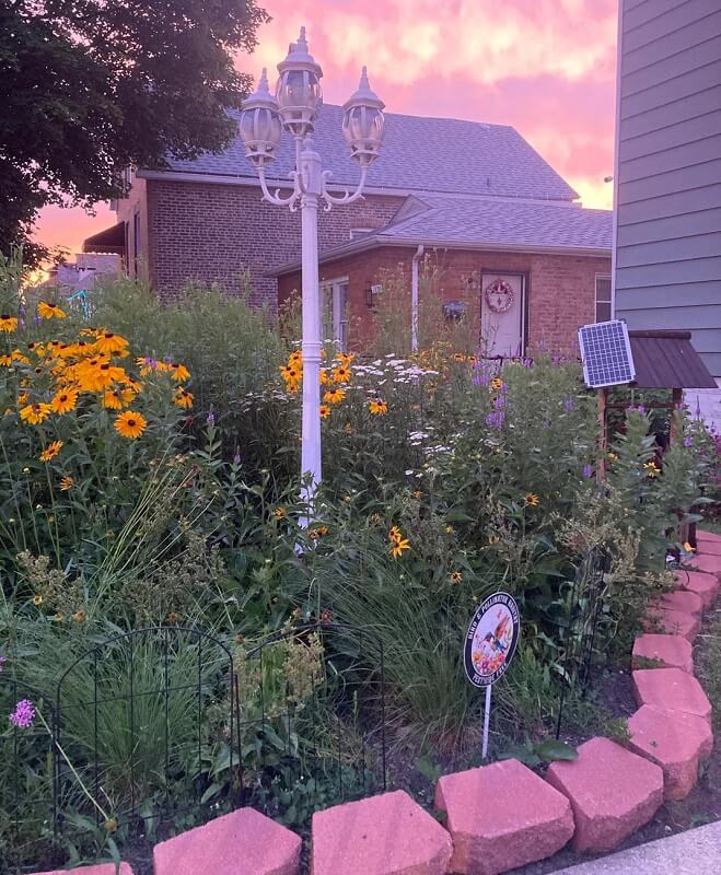 One Redditor's backyard transformed into a stunning native garden, and they revealed how to do it.