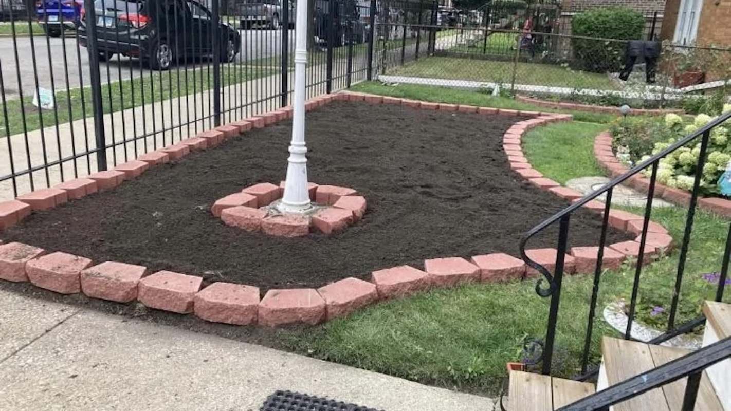 One Redditor's backyard transformed into a stunning native garden, and they revealed how to do it.