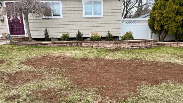 Having native grasses in your yard reduces your maintenance costs and labor while minimizing your exposure to harmful pesticides and fertilizers.