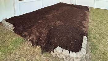 One Redditor shared how they turned their traditional lawn into a native plant garden, reducing water use and supporting pollinators.