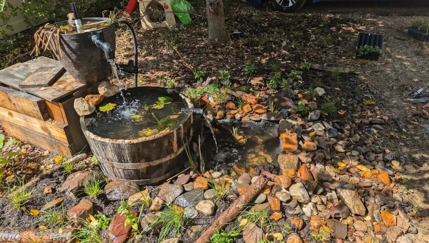 One Redditor shared their stunning transformation from a typical lawnscape to a native plant yard.