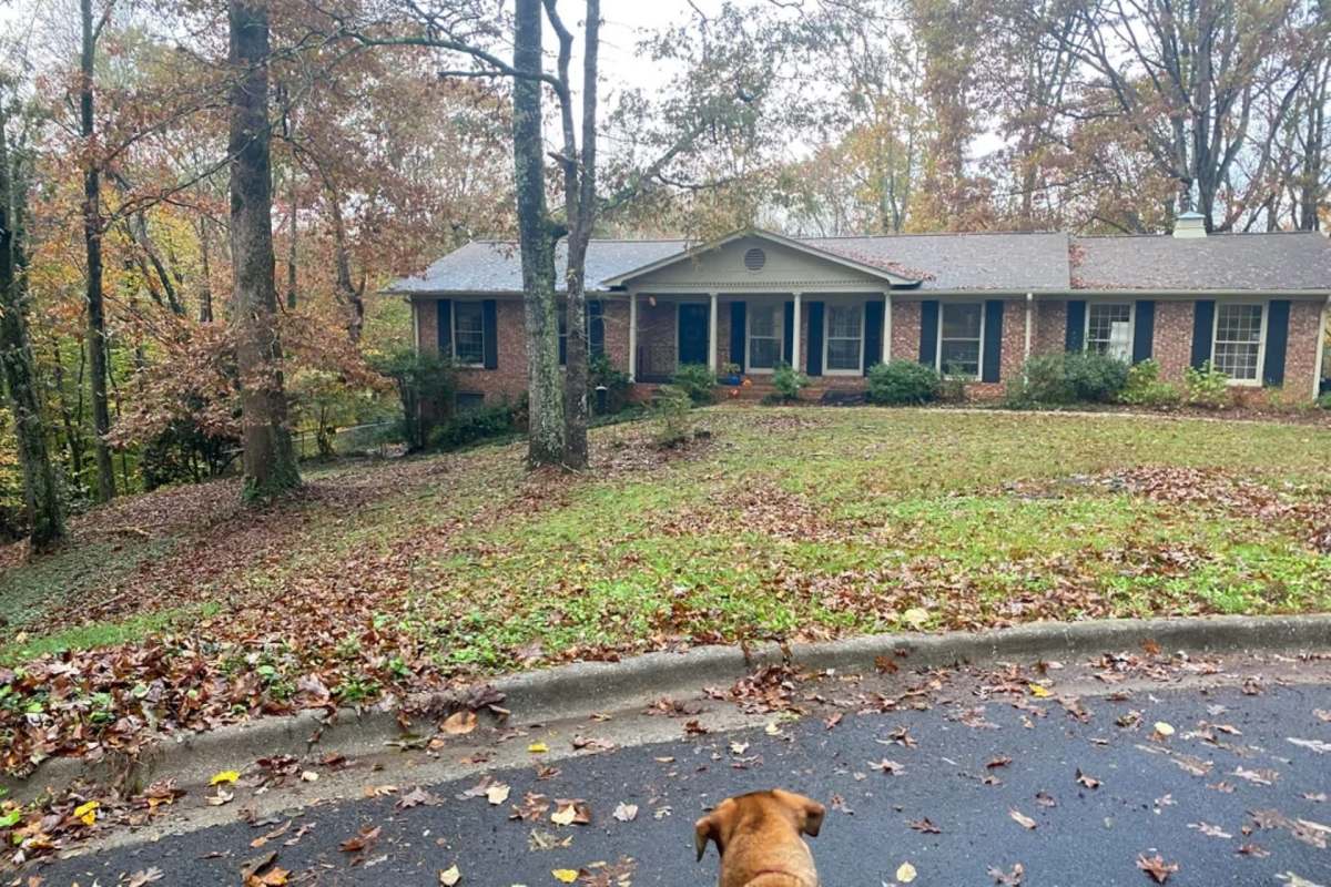 One Redditor shared the incredible transformation of their lawn into a natural, native paradise.