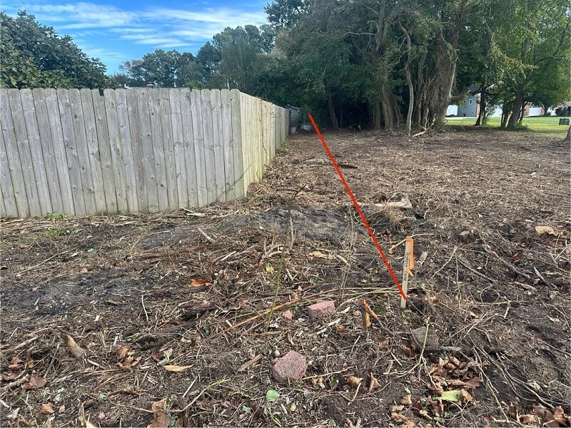 A Maryland homeowner returned from vacation to a devastating sight: the neighbor behind them had clear-cut an entire patch of trees, including a portion of their property.