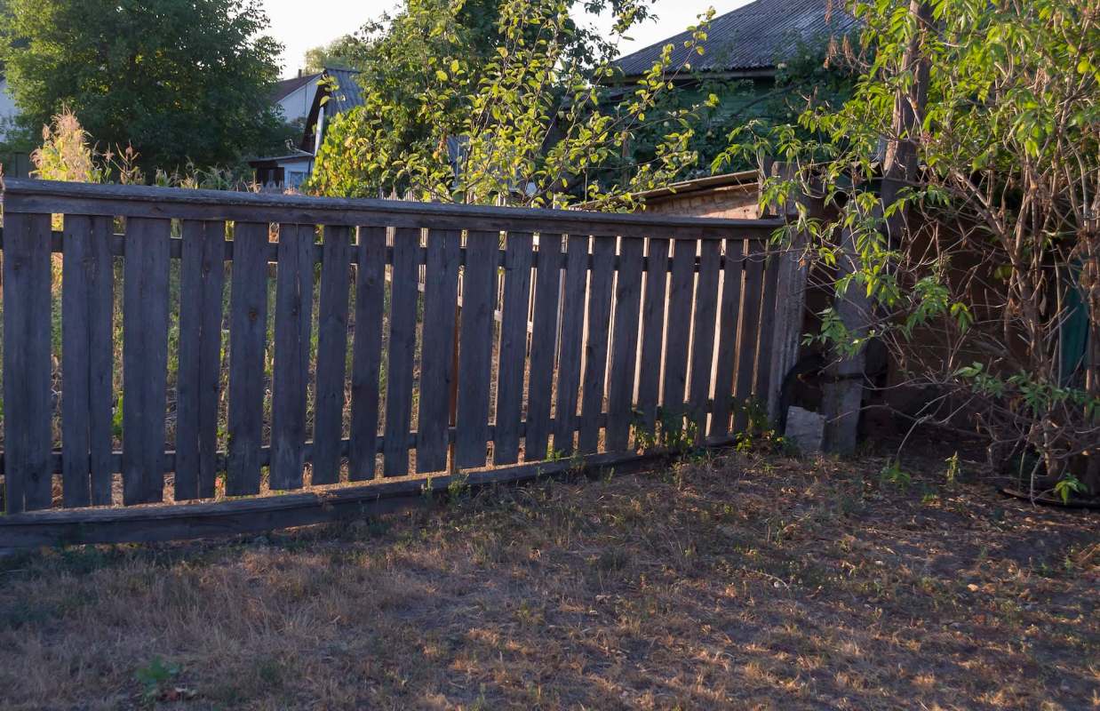 One British Redditor's neighbor cut down part of their tree. Now they're seeking advice on what to do next.