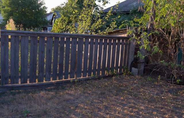 One British Redditor's neighbor cut down part of their tree. Now they're seeking advice on what to do next.