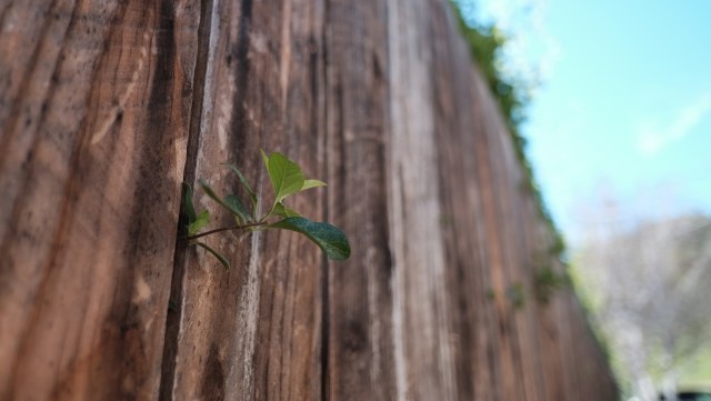 One Redditor shared their troublesome neighbor's story in the r/homeowners subreddit, where they explained the possibly illegal action their neighbor had taken.