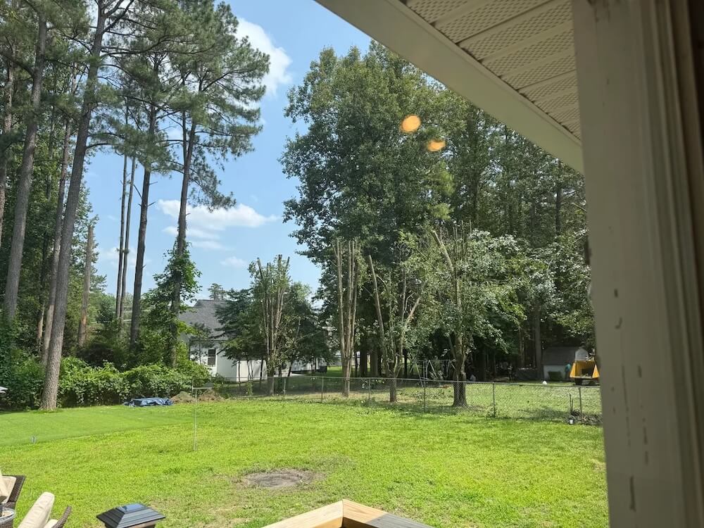 One Reddit user was shocked to discover that his neighbor had topped his Bradford pear without permission.