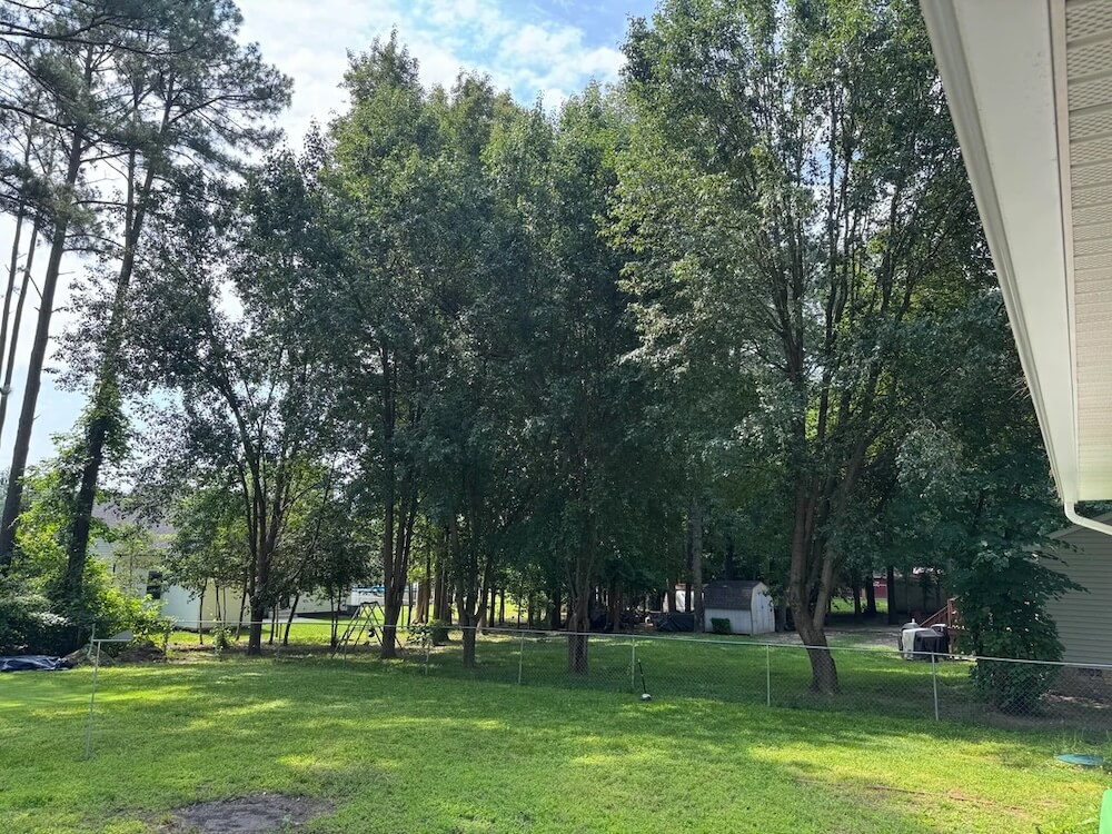 One Reddit user was shocked to discover that his neighbor had topped his Bradford pear without permission.