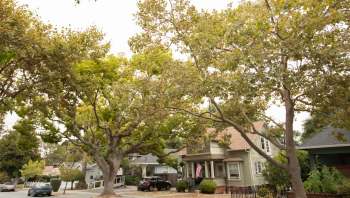 One homeowner recently took to Reddit after discovering that their neighbor had trimmed trees on their property without permission.