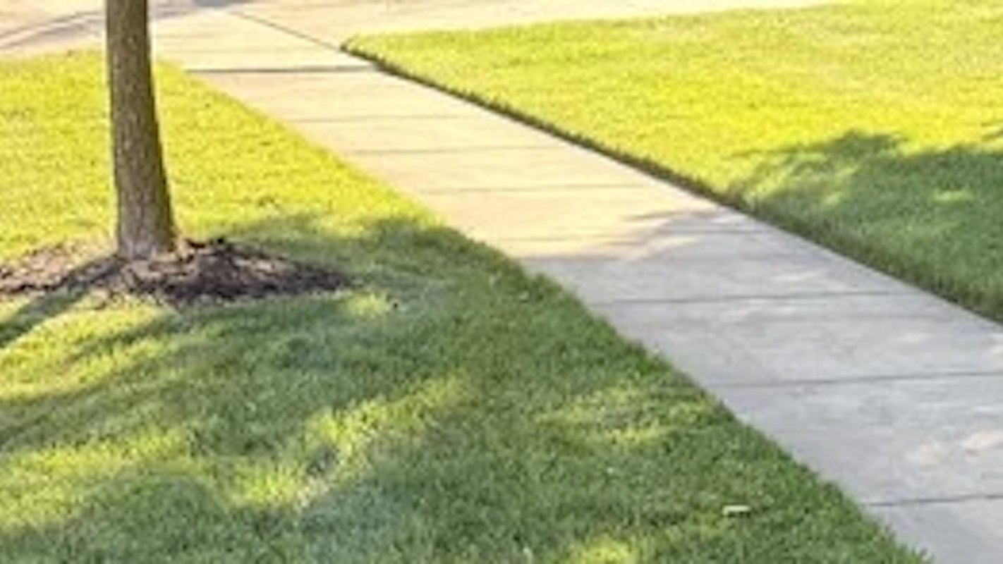 A Redditor got advice after their neighbor's lawn care company damaged their yard.