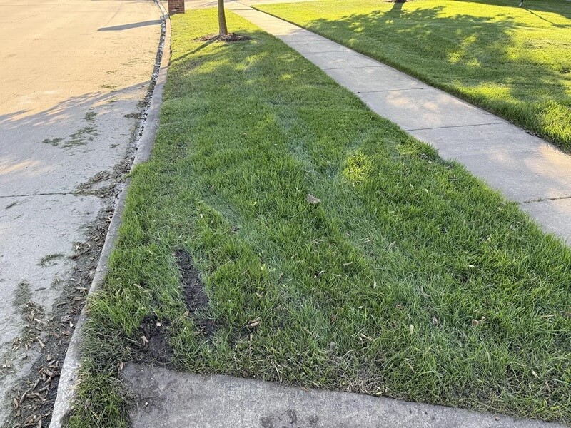 A Redditor got advice after their neighbor's lawn care company damaged their yard.