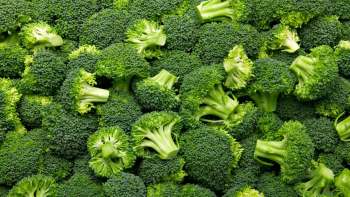 Researchers have developed a hybrid broccoli that can endure extreme temperatures, offering a tool for climate-resilient crop production.