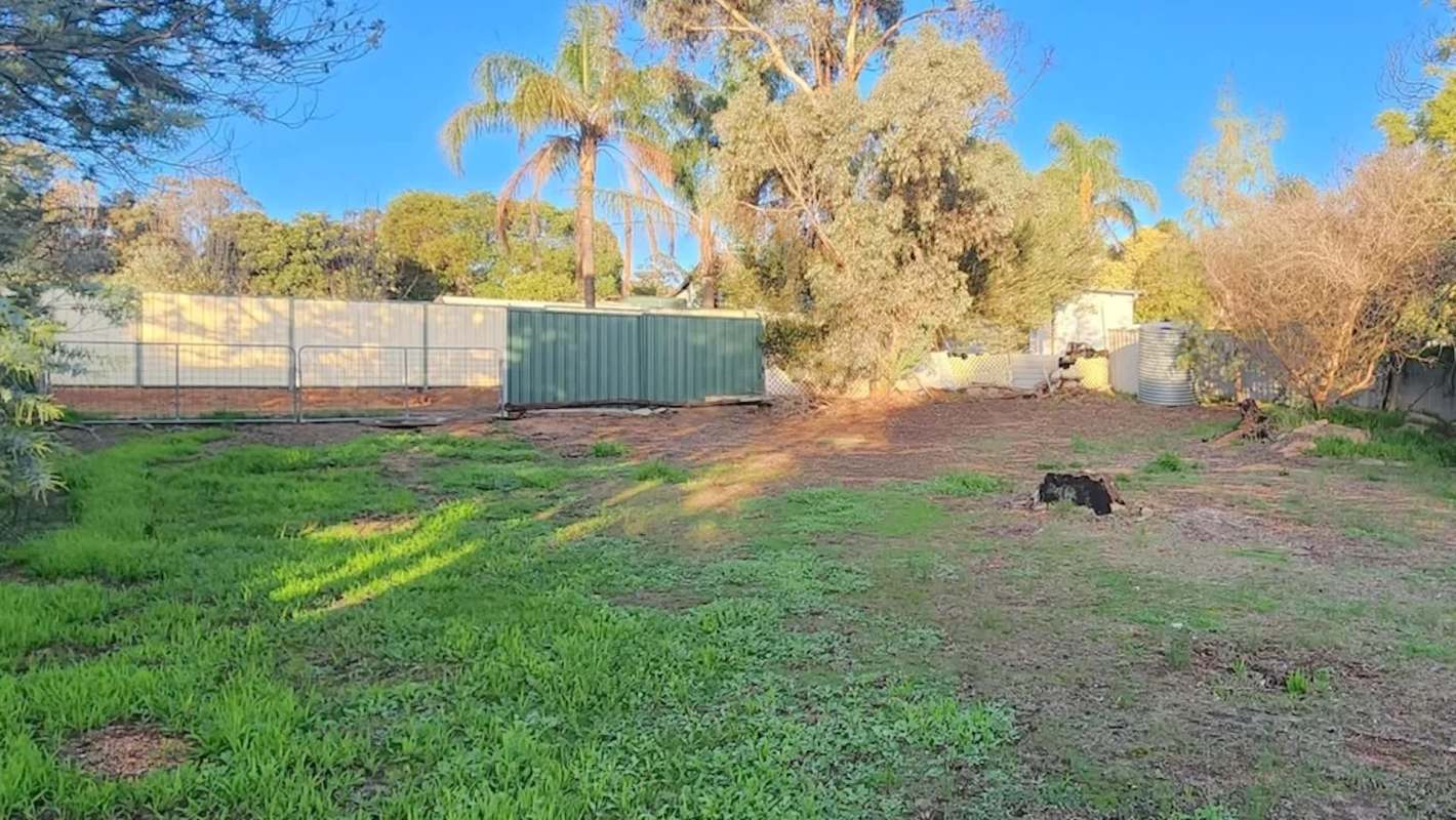 One homeowner shared the three-year transformation of their home's garden, where they planted the no-lawn garden of their dreams.
