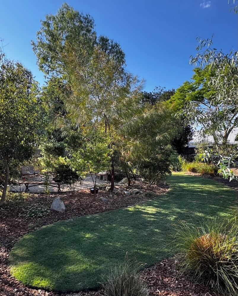 One Australian gardener has the internet buzzing after sharing jaw-dropping before-and-after photos of their yard — a once-plain patch of grass that's now a lush native paradise.