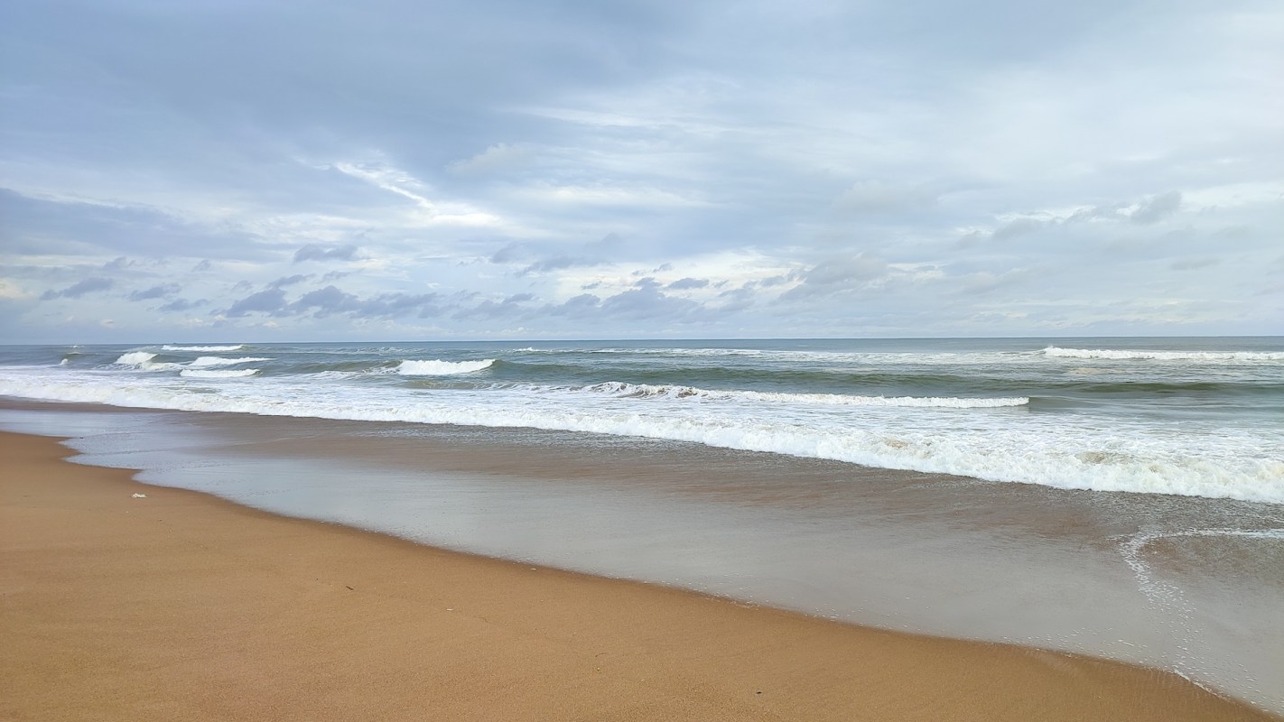 Government officials in eastern India are imposing strict measures around olive ridley turtle's nesting sites to protect the threatened marine species.