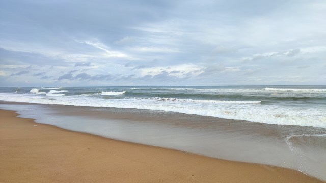 Government officials in eastern India are imposing strict measures around olive ridley turtle's nesting sites to protect the threatened marine species.