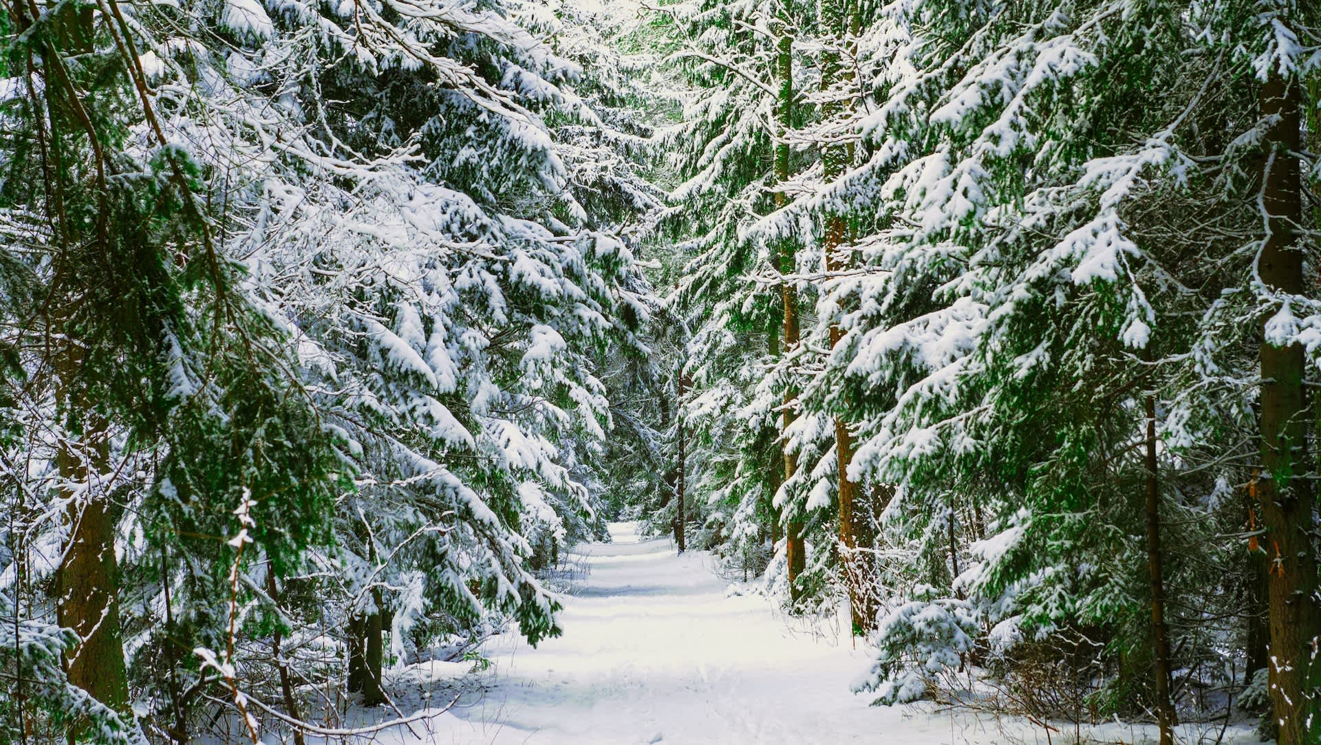 Off-gridder reveals essential tips for making it through winter months: 'You have to invest'