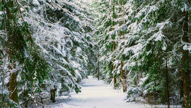 It's estimated that between 180,000 and 750,000 U.S. households live completely off-grid, according to the Journal of Ecological Anthropology.