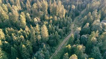 One TikToker shared how they're making an underground geothermal greenhouse for their off-grid property.