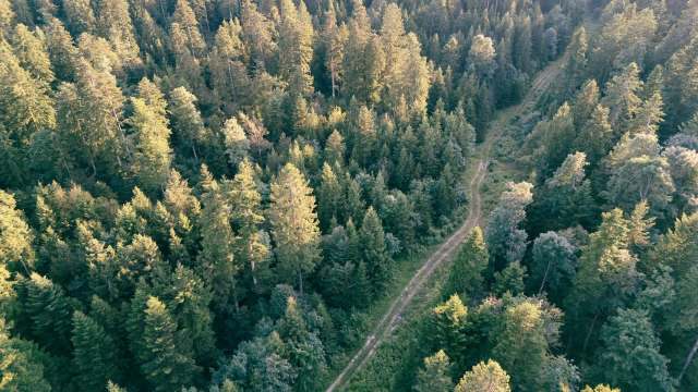 One TikToker shared how they're making an underground geothermal greenhouse for their off-grid property.