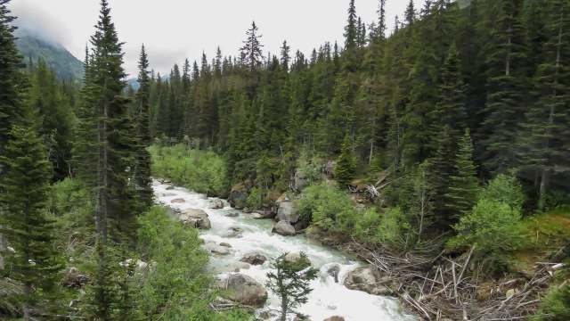 A conservation photographer recently shared a powerful photo project that memorializes old-growth trees and shows the destructive effects of logging.