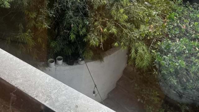 One homeowner took to Reddit to share their displeasure with their HOA after the group butchered an olive tree on their property.