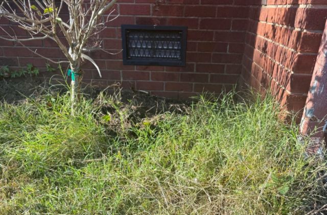 This Redditor needed advice on how to deal with crabgrass after they removed landscape fabric from their flower bed.