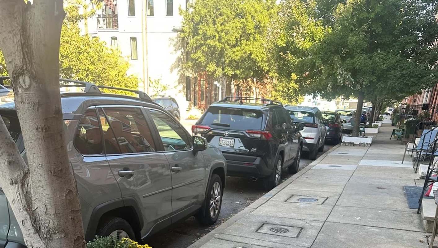 One Reddit user took to the r/Baltimore subreddit to advise community members about the dangers of overmulching.