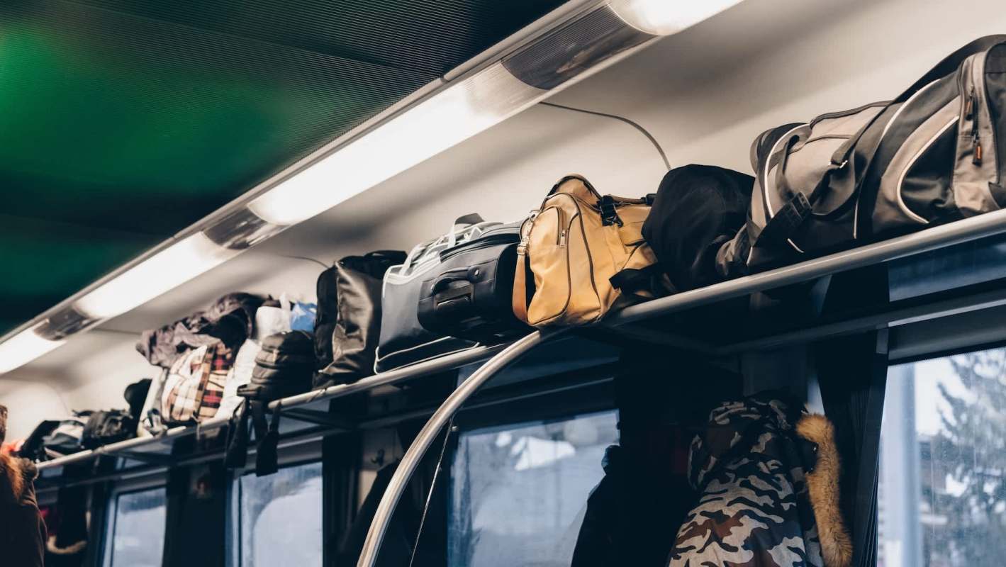 Officials in Assam, India, seized 224.74 kilograms of pangolin scales in a wildlife trafficking bust.