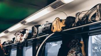 Officials in Assam, India, seized 224.74 kilograms of pangolin scales in a wildlife trafficking bust.